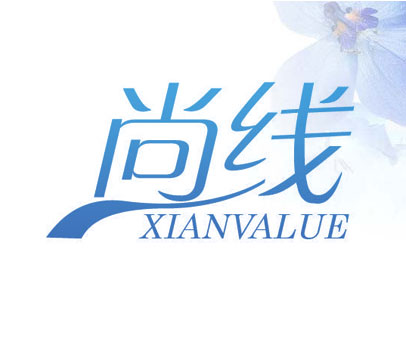 尚线 XIANVALUE