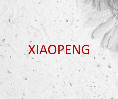 XIAOPENG