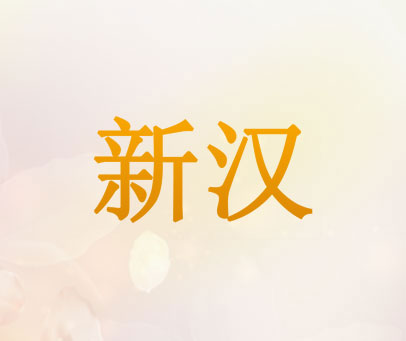 新汉