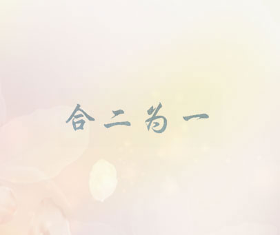 合二为一