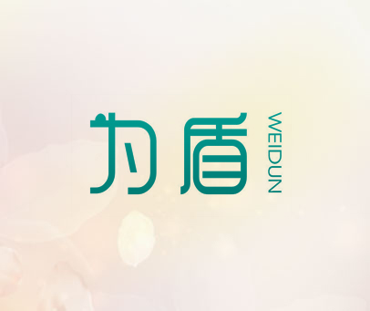 为盾