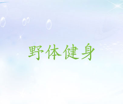 野体健身