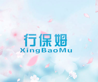 行保姆