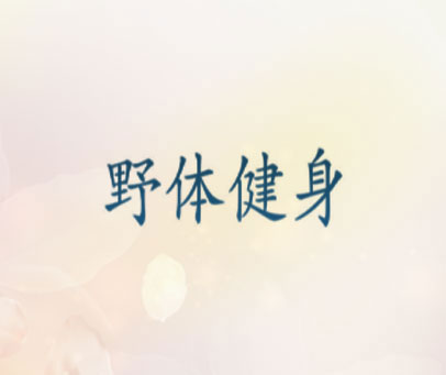 野体健身