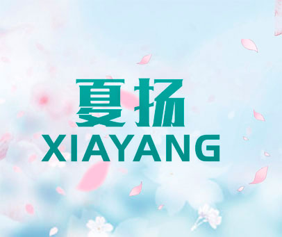 夏扬
