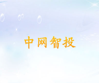 中网智投