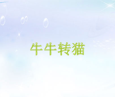 牛牛转猫