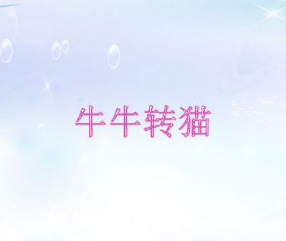 牛牛转猫
