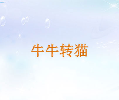 牛牛转猫