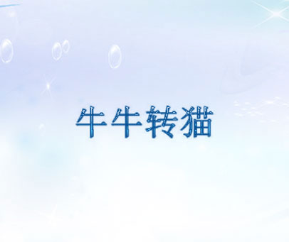 牛牛转猫
