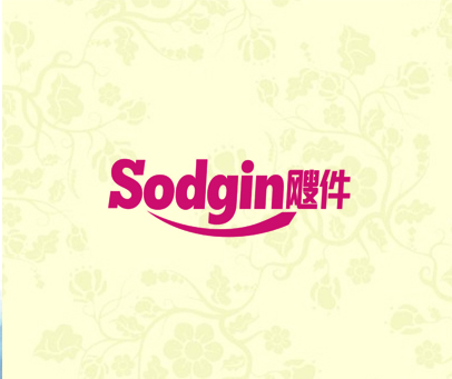 SODGIN飕件