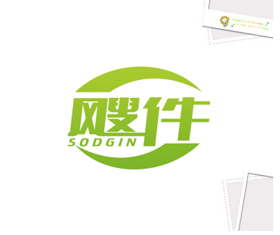 飕件 SODGIN