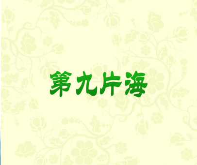 第九片海