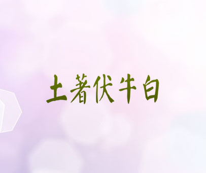 土著伏牛白