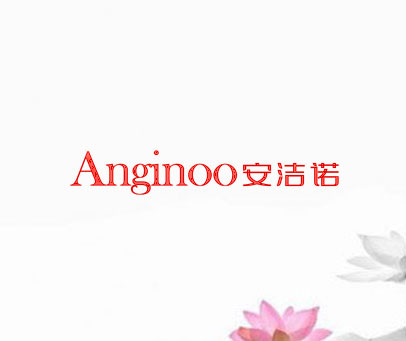 ANGINOO 安洁诺