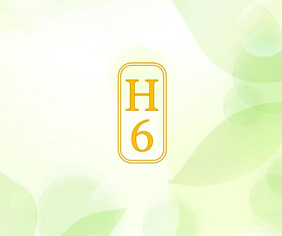 H6