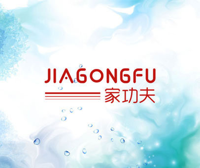 家功夫