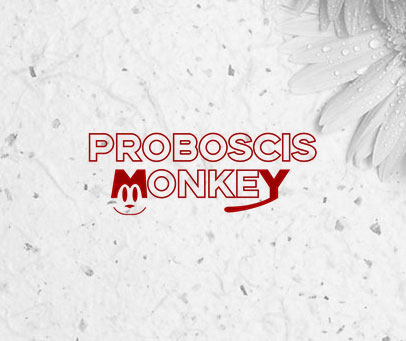 PROBOSCIS MONKEY