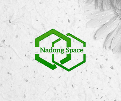 NADONG SPACE