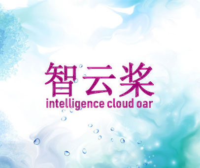 智云桨 INTELLIGENCE CLOUD OAR