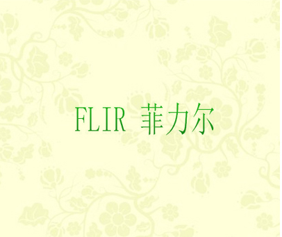 FLIR 菲力尔