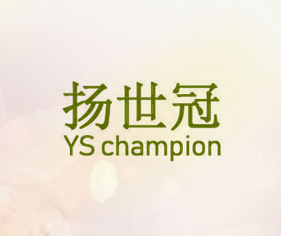 扬世冠 YS CHAMPION