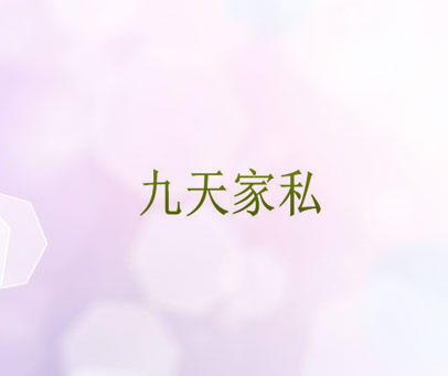 九天家私