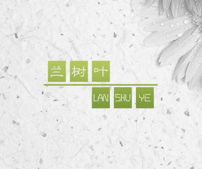 兰树叶