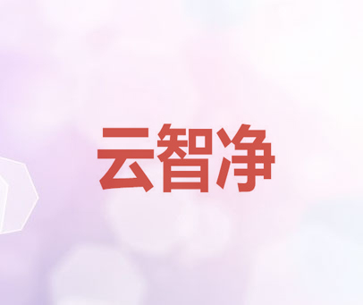 云智净