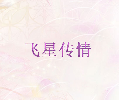 飞星传情