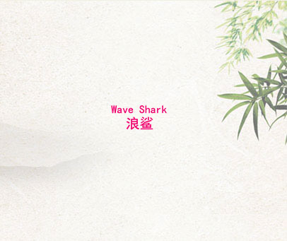 浪鲨 WAVE SHARK