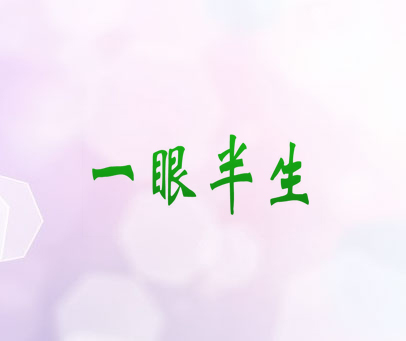 一眼半生