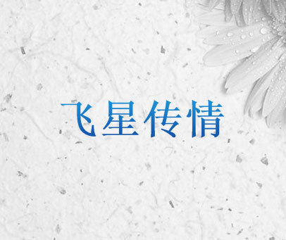 飞星传情
