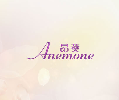 昂葵 ANEMONE