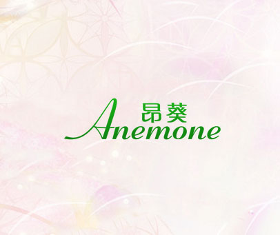昂葵 ANEMONE