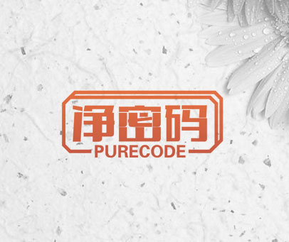 净密码 PURECODE
