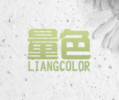 量色 LIANGCOLOR
