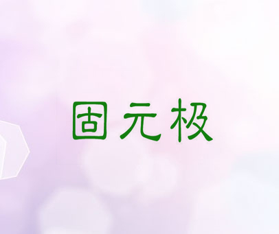 固元极