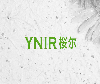 YNIR 桜尔