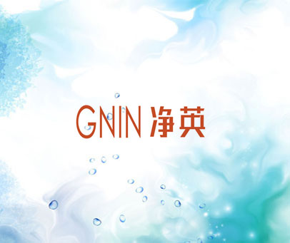 净英 GNIN