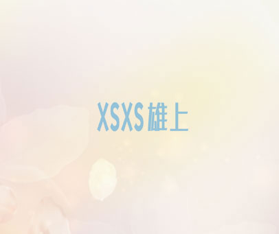 XSXS 雄上