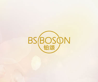 BS.BOSON 铂颂