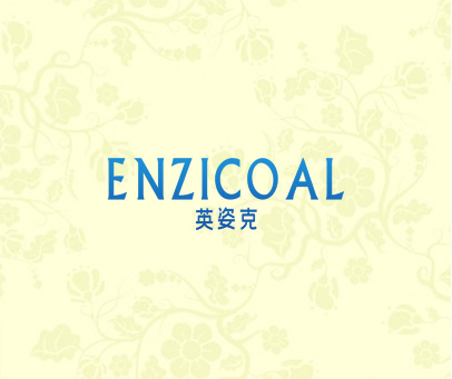 英姿克 ENZICOAL