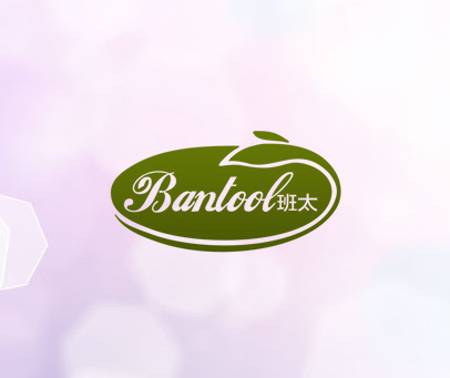 BANTOOL 班太