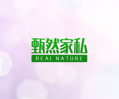 甄然家私 REAL NATURE