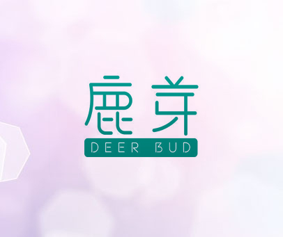 鹿芽 DEER BUD