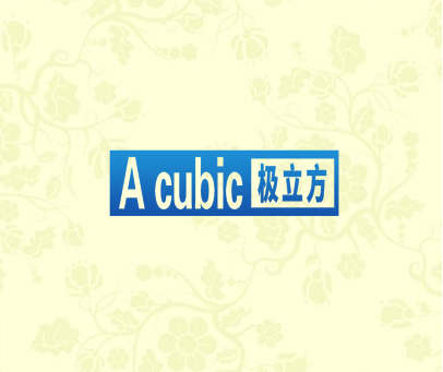A CUBIC 极立方