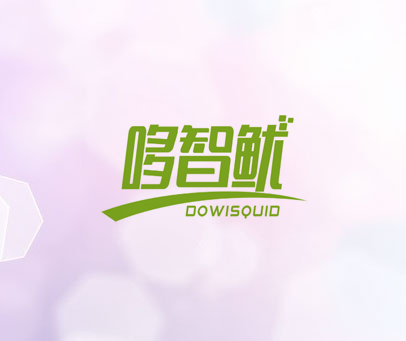 哆智鱿 DOWISQUID