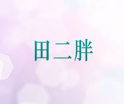 田二胖
