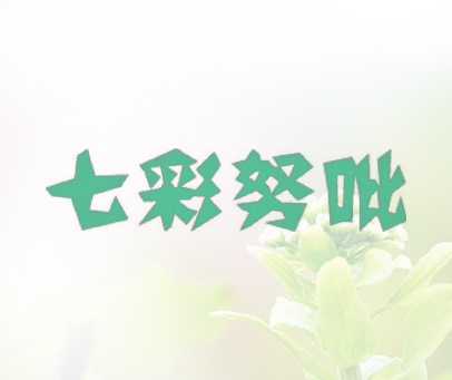 七彩努吡